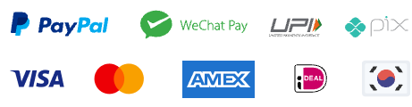 Payment methods accepted by Paddle